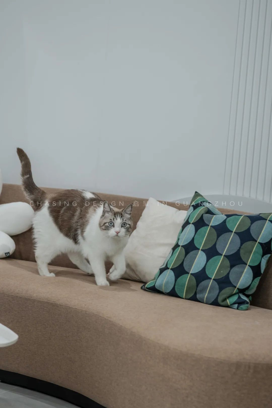 橘子汽水味的三房loft，超强布局不输大平层-65