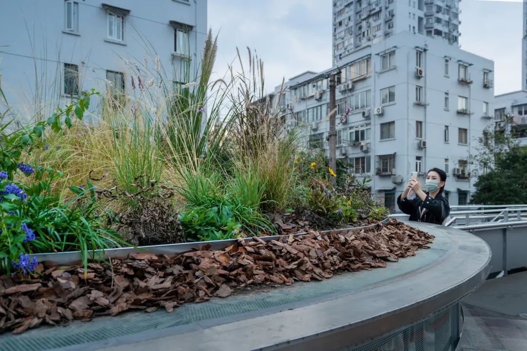 土地先喻 · 宝特瓶里的生态艺术空间丨中国上海丨刘宇扬建筑事务所-68