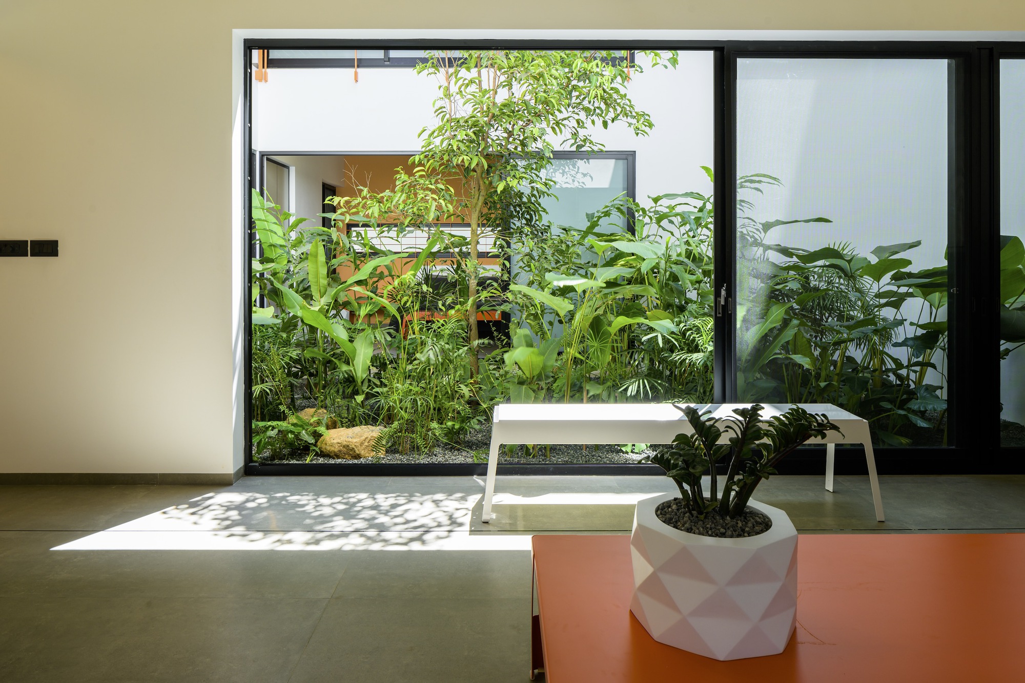 色彩爆发屋丨印度丨LIJO RENY architects-54