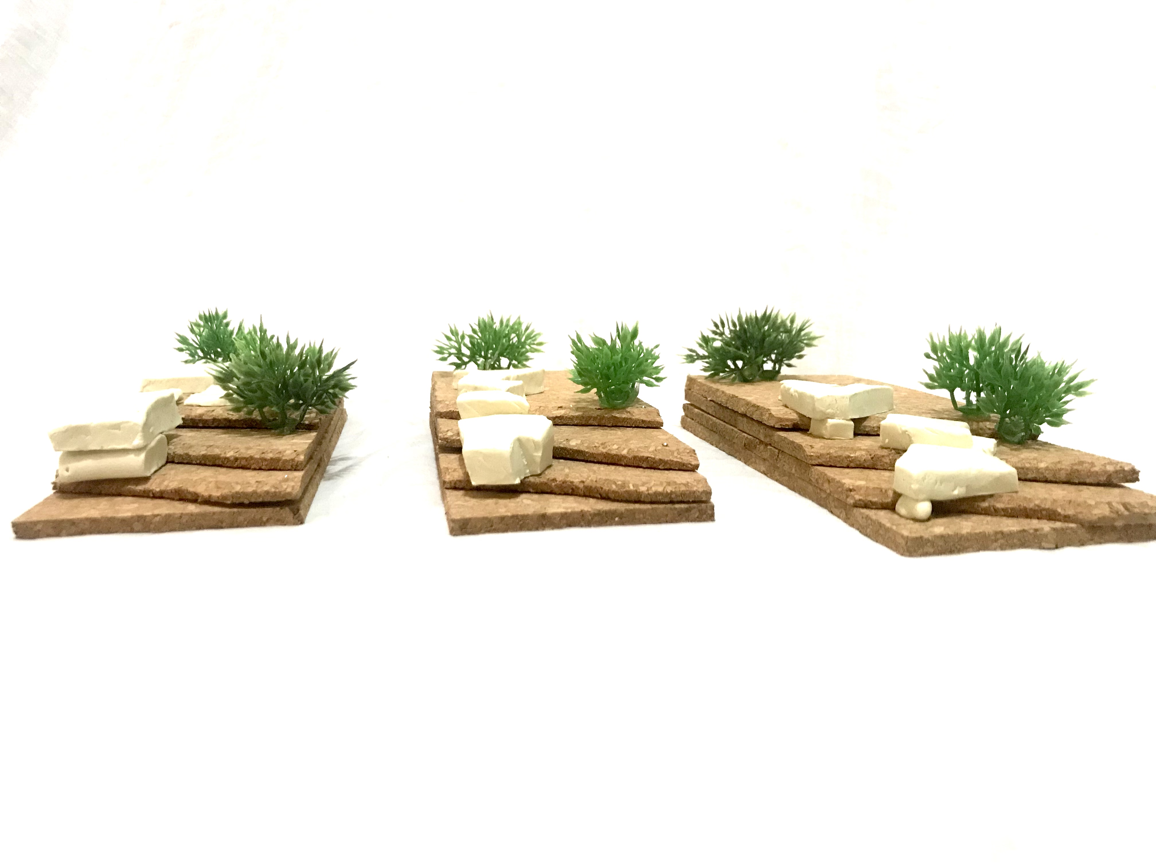 城市建筑设计丨新西兰奥克兰-9