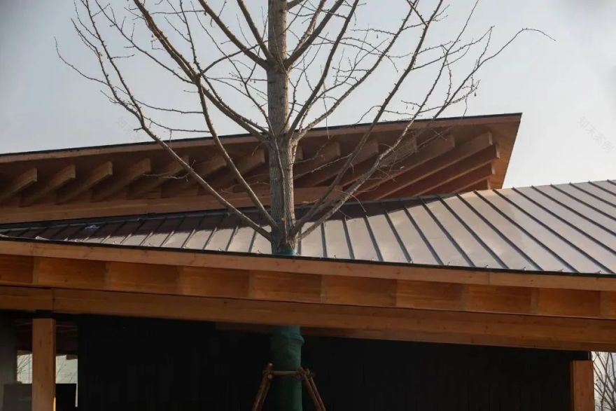 富阳·阳陂湖湿地公园南接待中心丨中国杭州丨尌林建筑设计事务所-200