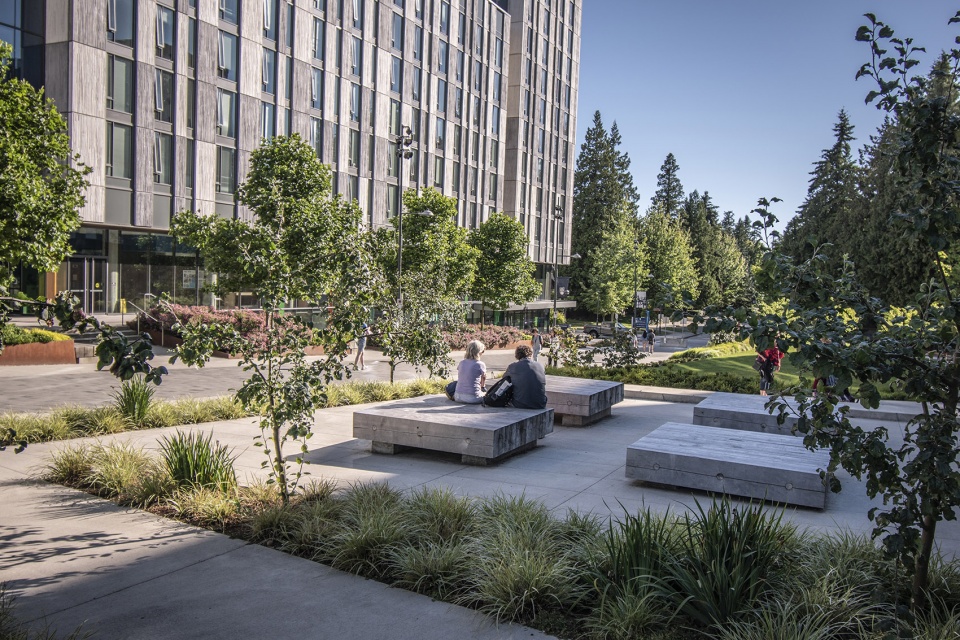 温哥华黄松木公共空间-25