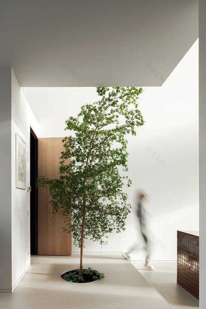 灯塔之家丨荷兰阿姆斯特丹丨Studioninedots-15