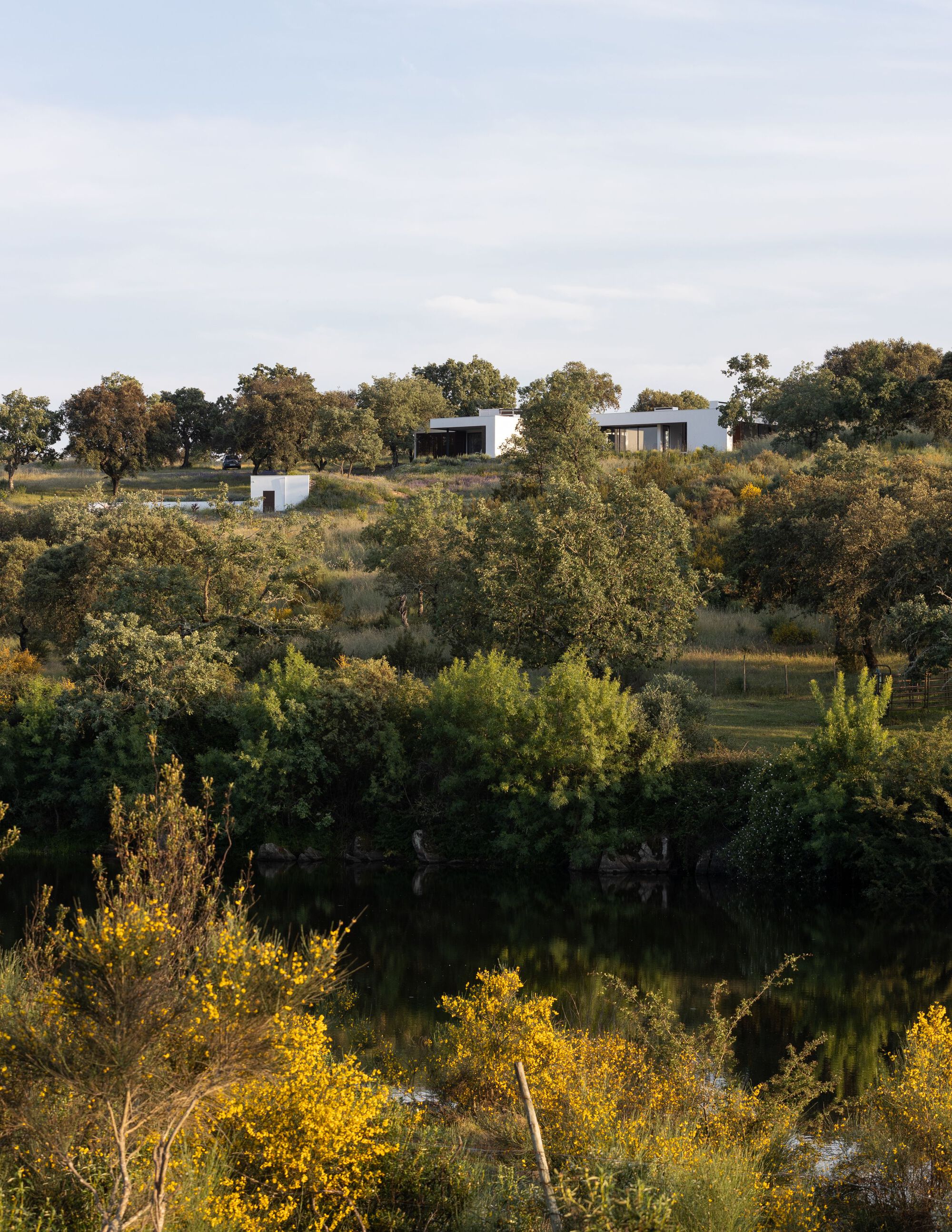 克拉托的房子丨葡萄牙丨Inês Brandão Arquitectura-60