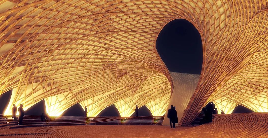 虾夷丨日本丨LEAD-61