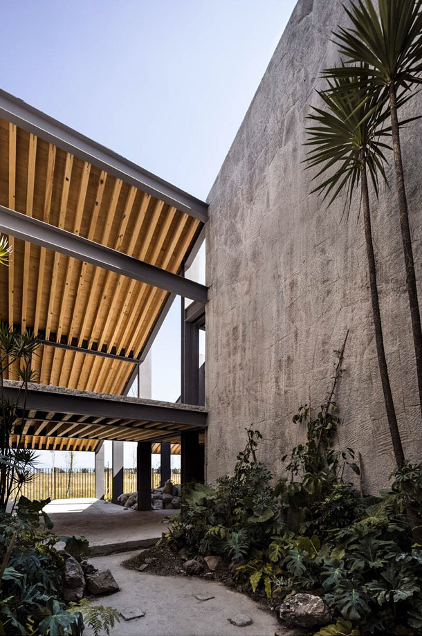 马塔莫罗斯市场丨墨西哥马塔莫罗斯丨Gabriela Carrillo-67