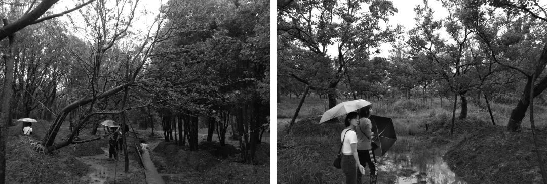 繁花水巷里的诗意栖居——奥山弘阳·题红樾里-63