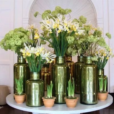 家居绿植摆放技巧，打造清新空间-6