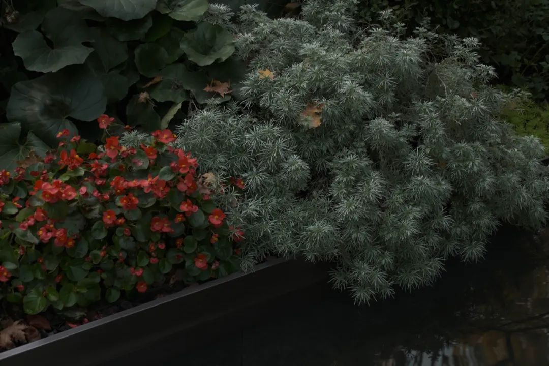 中海·唐山臻如府首开区丨中国河北丨深圳市派澜景观规划设计有限公司-54