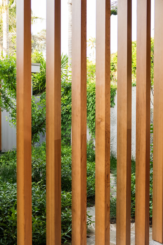 Argyle House 的有机庭院景观-26