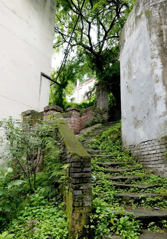 龙门浩·重庆人家城市更新方案（“重庆人家·山城物语”）丨中国重庆-23