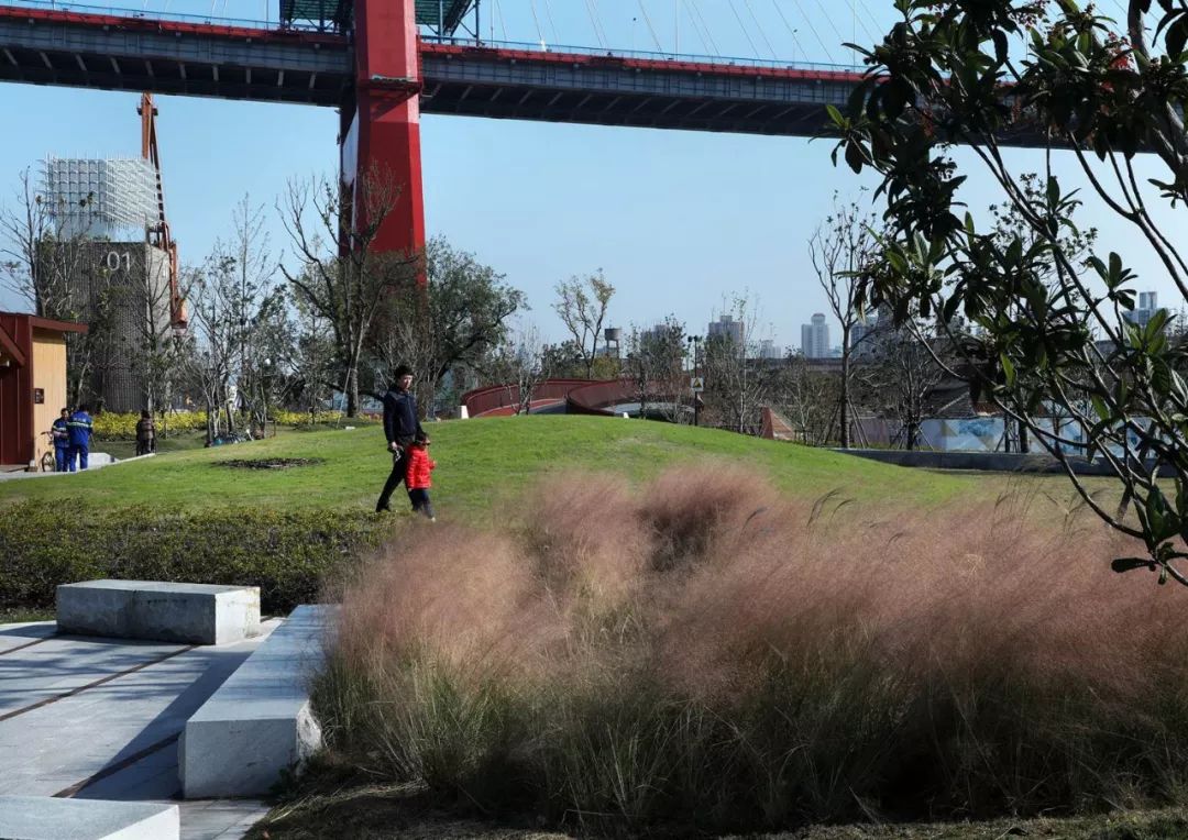 杨浦大桥区域滨江绿地生态项目，打造城市水岸新生活-124