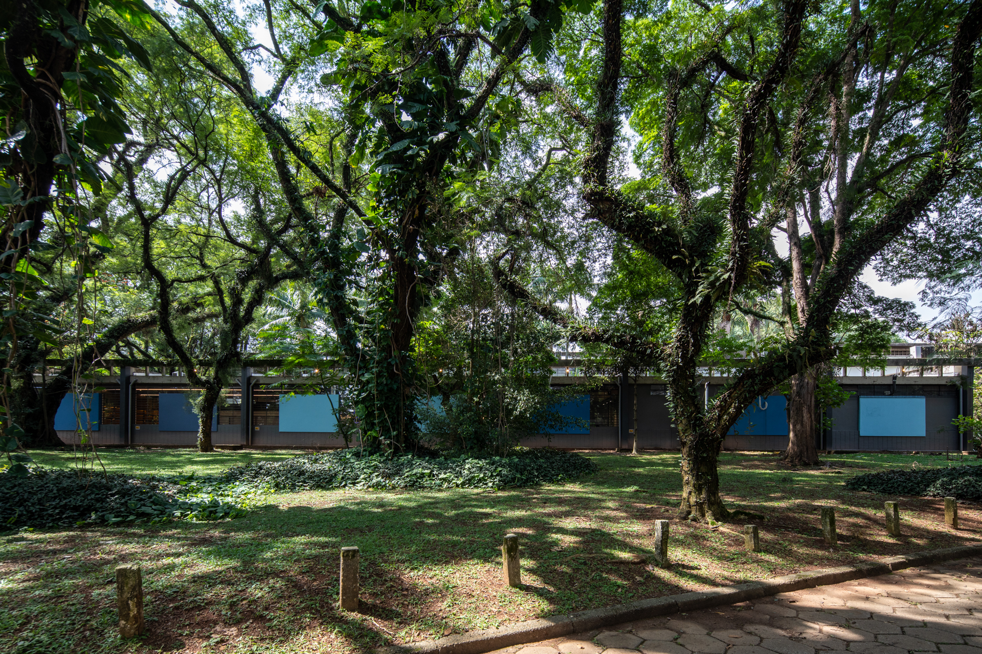 Ambev On 创新创业中心丨巴西圣保罗丨SuperLimão-0