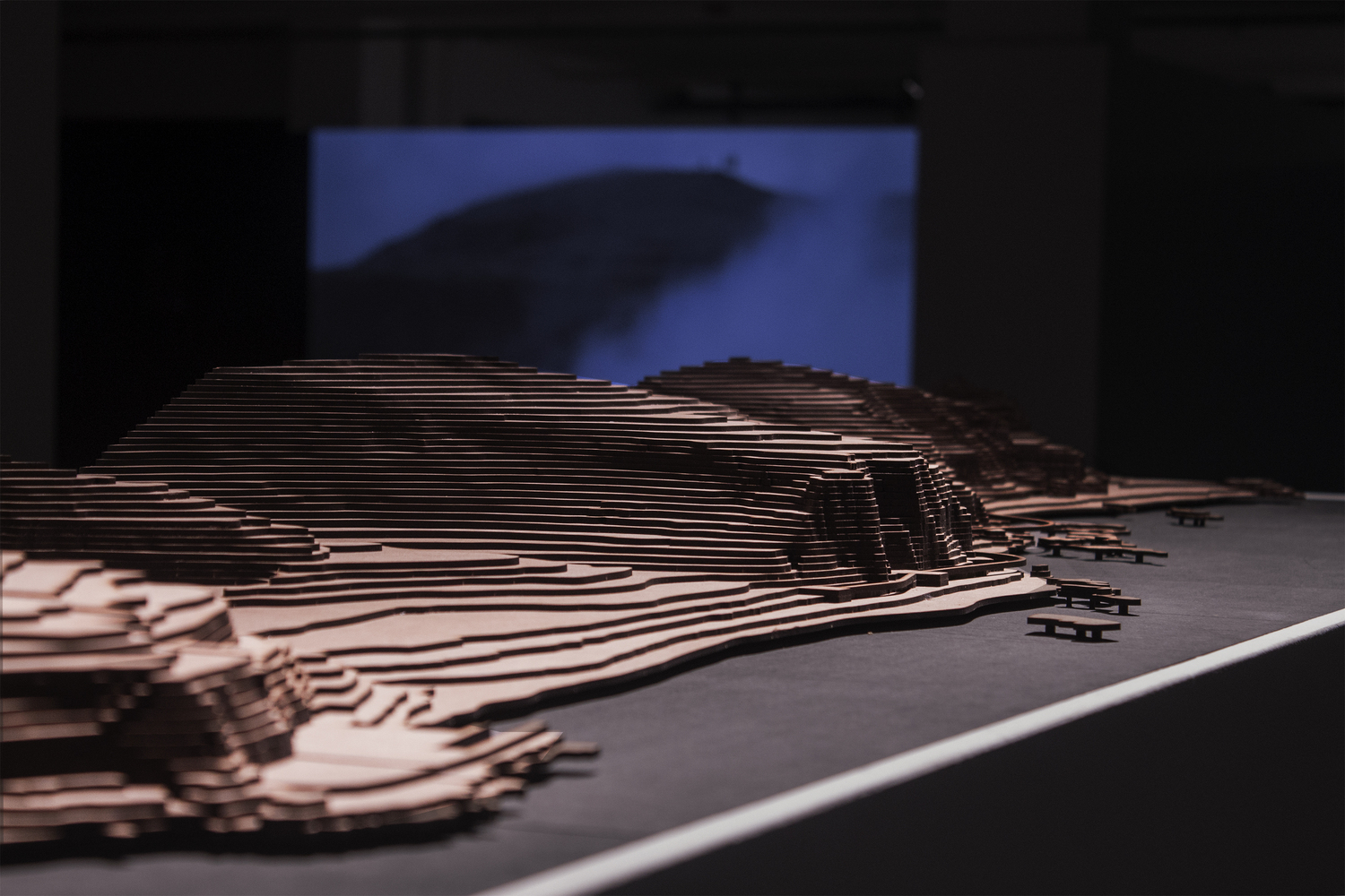 葡萄牙景观建筑展 · 若昂·戈梅斯·达席尔瓦与保罗·大卫的协作-74