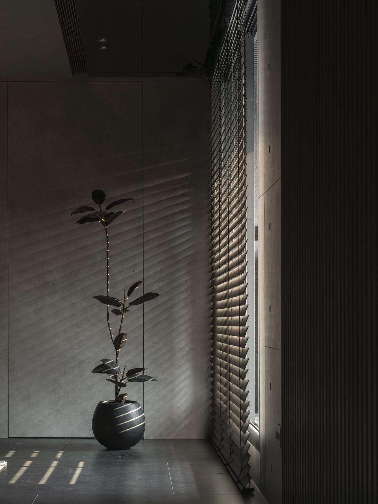Fluid Domesticity—Detail-0