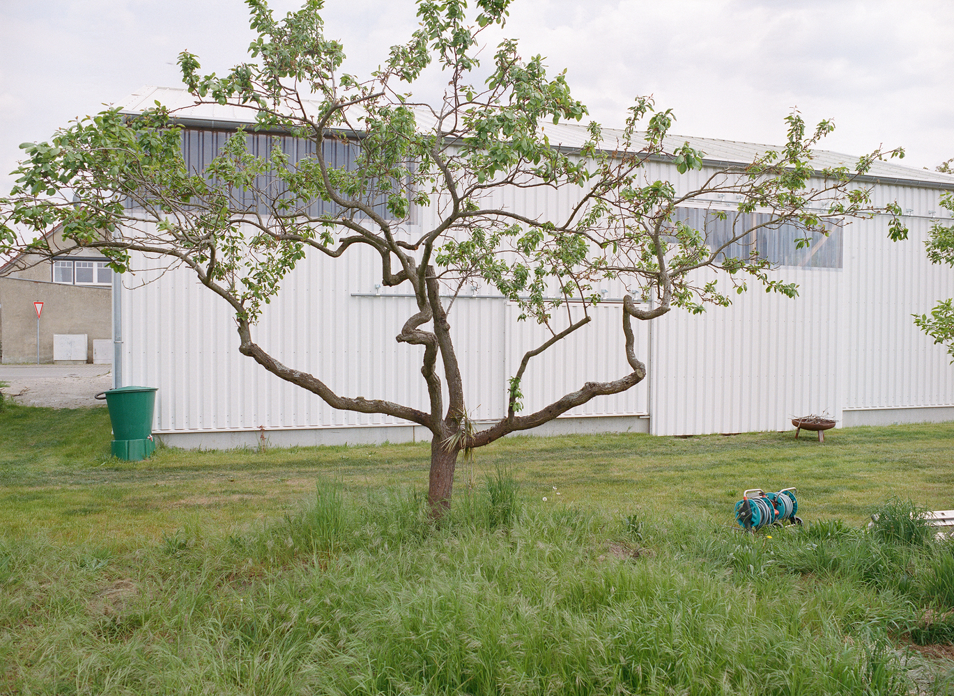 柏林之外的野菌之屋丨德国丨c,o now-34