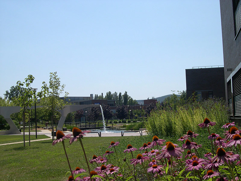 布达佩斯 Graphisoft 公园景观设计丨匈牙利布达佩斯-19