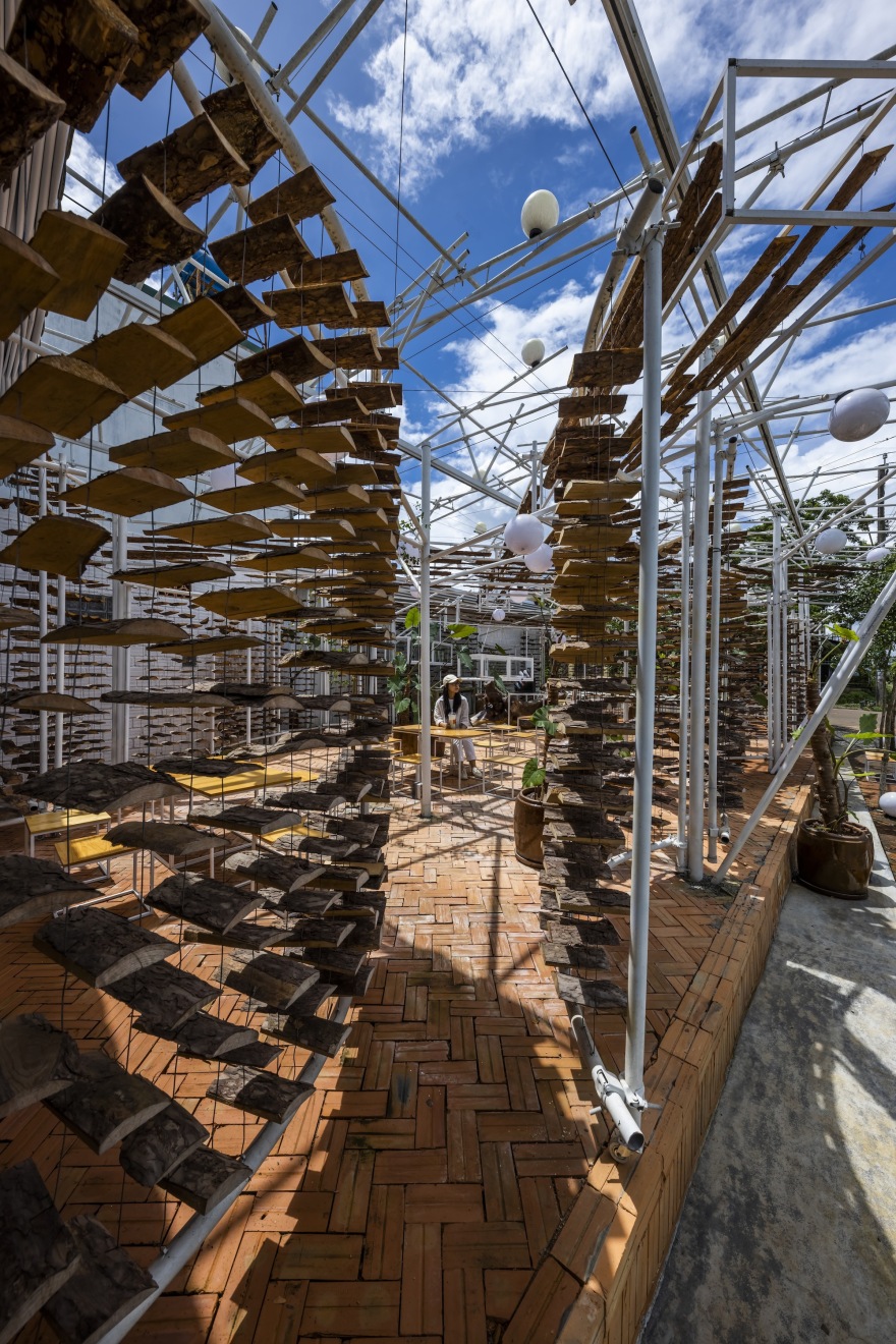 采茶,开花丨越南-38