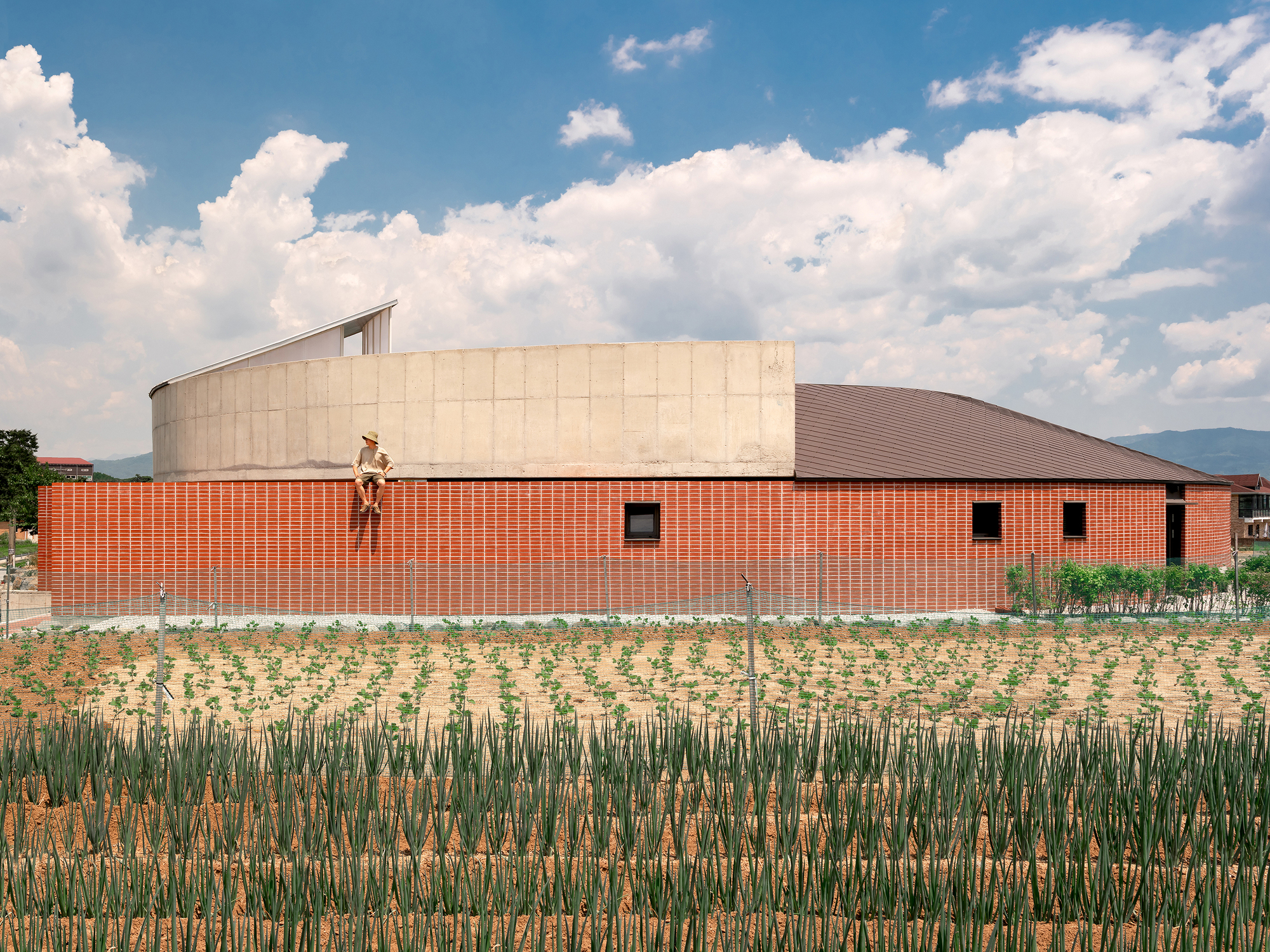 A House that Embraces Its Vegetable Garden  / sukchulmok+BRBB Architects-13