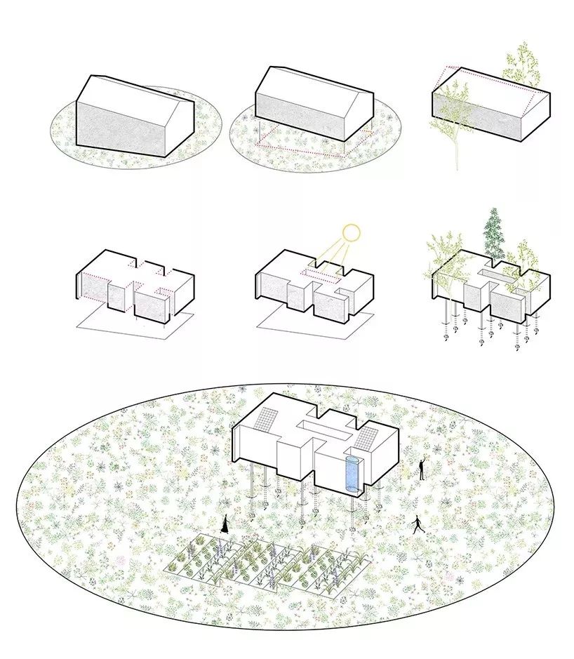 乡村松树树屋，与自然共生的设计奇迹-12