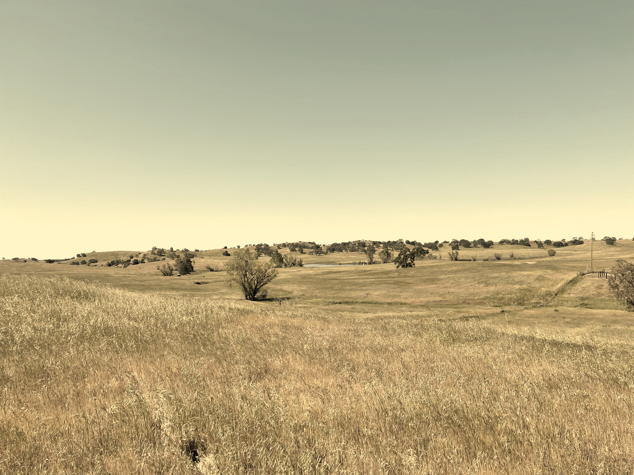 丨美国加利福尼亚丨Endemic Architecture-23