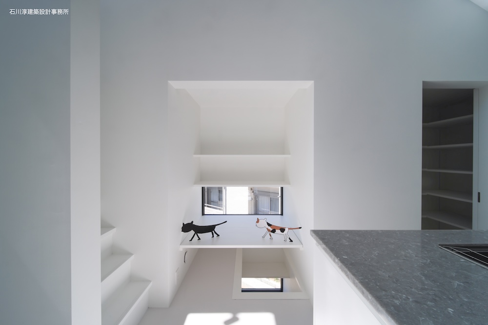 猫も通勤・事務所併用住宅OUCHI 48丨日本福岛丨石川淳建築設計事務所-43