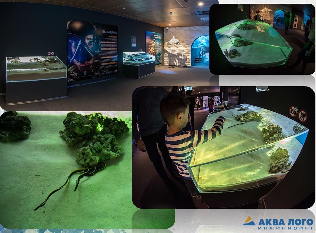 科加雷姆海洋馆“Aquatika”丨Aqua Logo Engineering-27