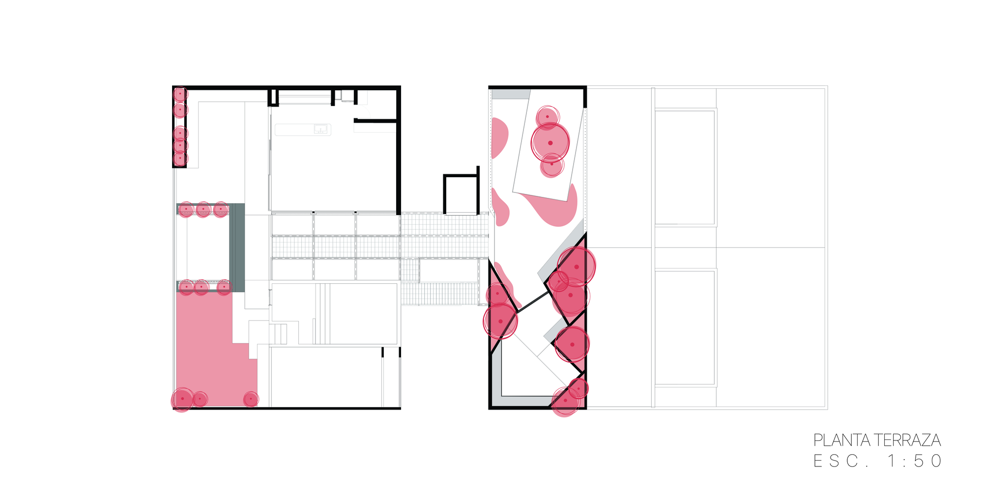 Flia,Momento丨阿根廷-42