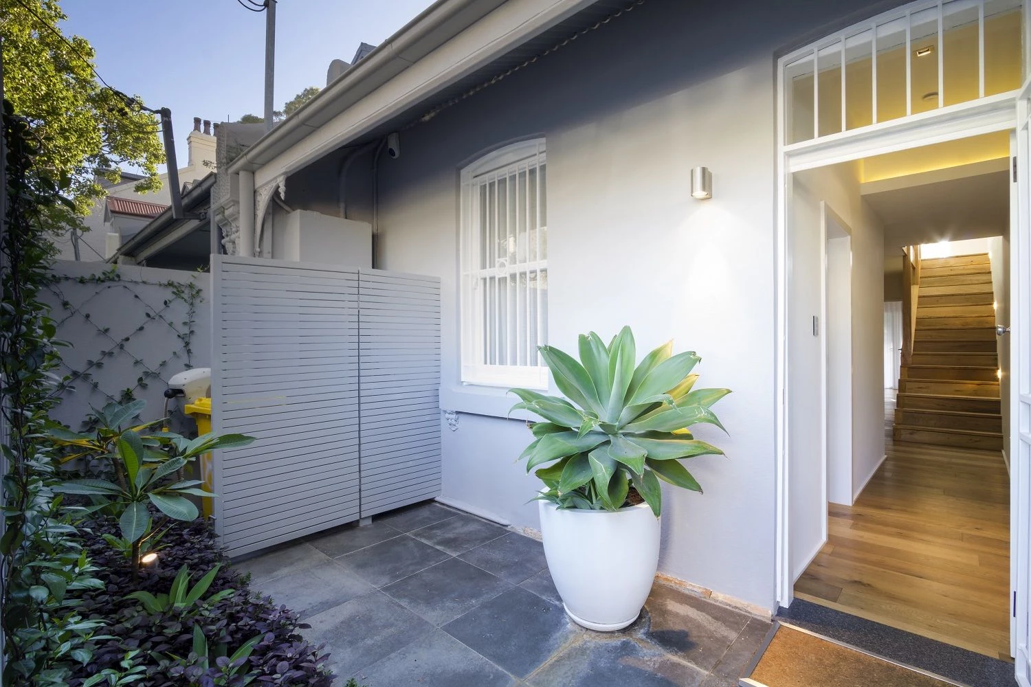 翻新悉尼 Balmain 区维多利亚式排屋，打造现代居住空间-10