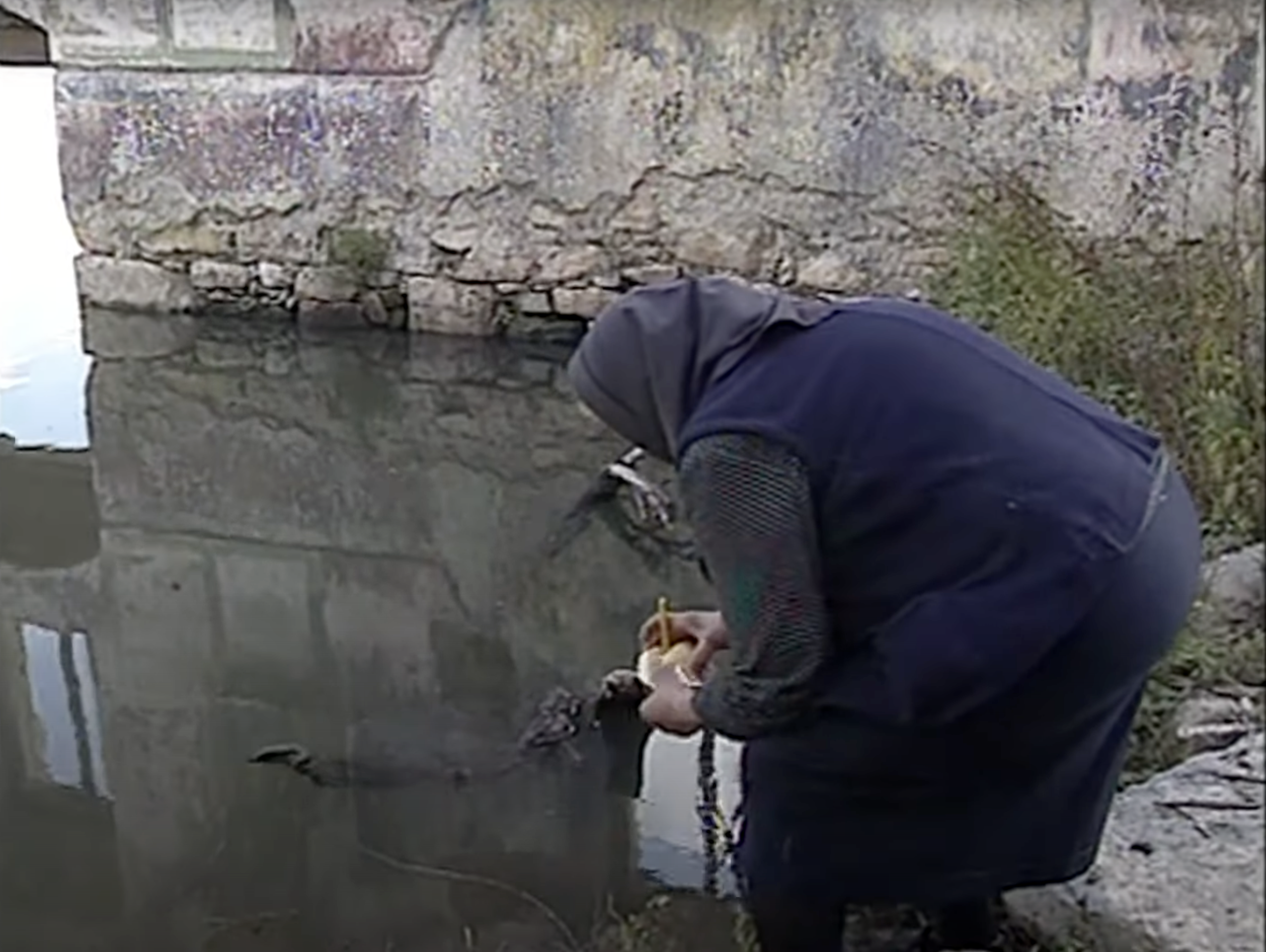 Orșova镇重新安置系统化大纲项目丨罗马尼亚丨DSAPCB（提米什瓦拉系统化,建筑,设计,建设研究所）-81