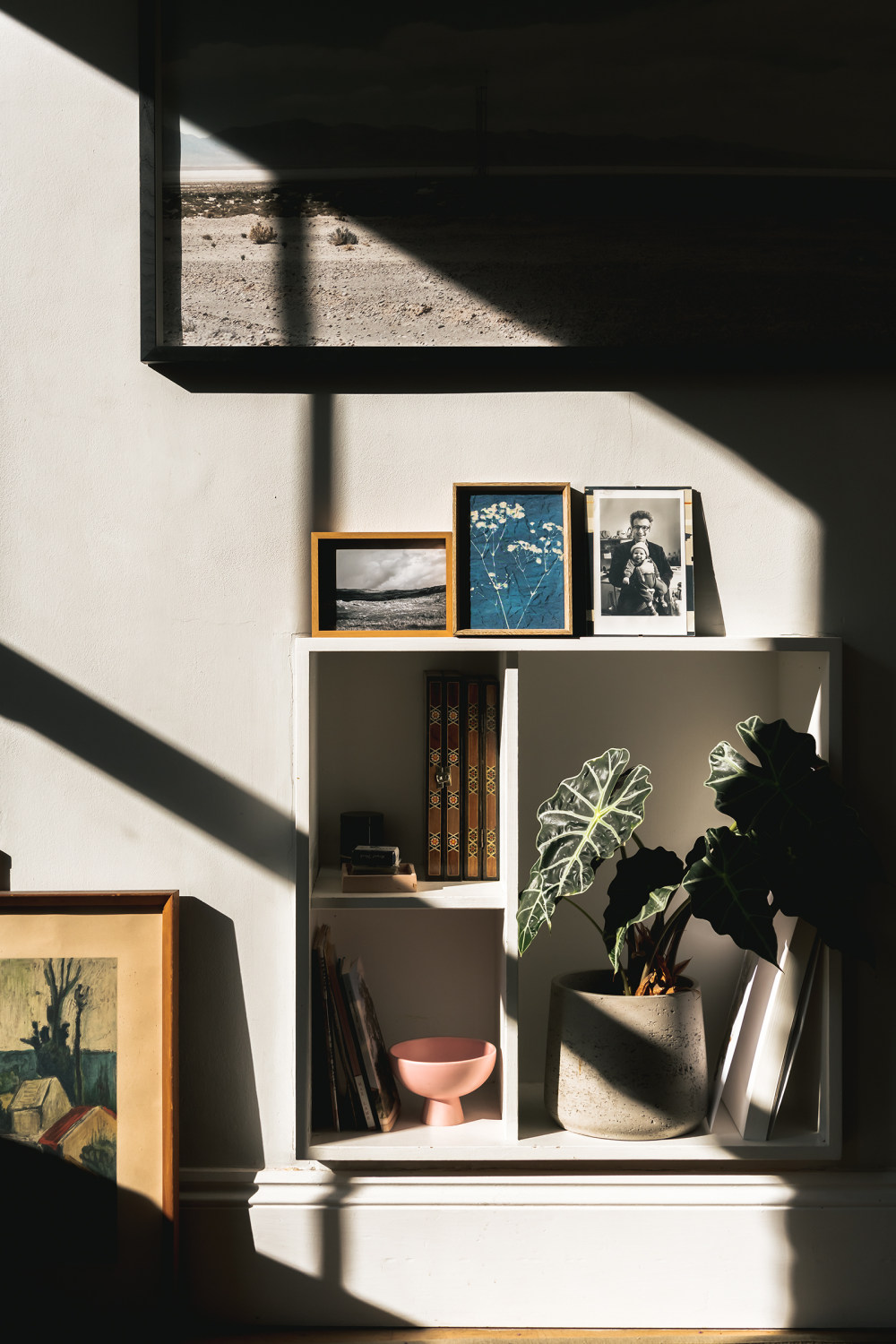 疫情期间的家居生活-6