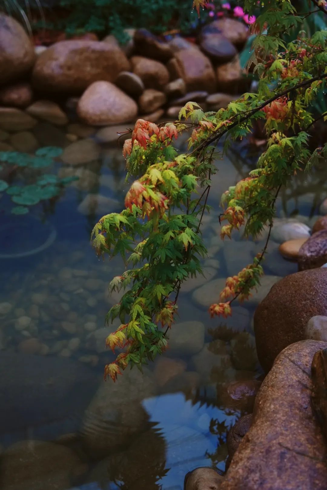 诗意小院设计丨禾景装饰工程有限公司-43