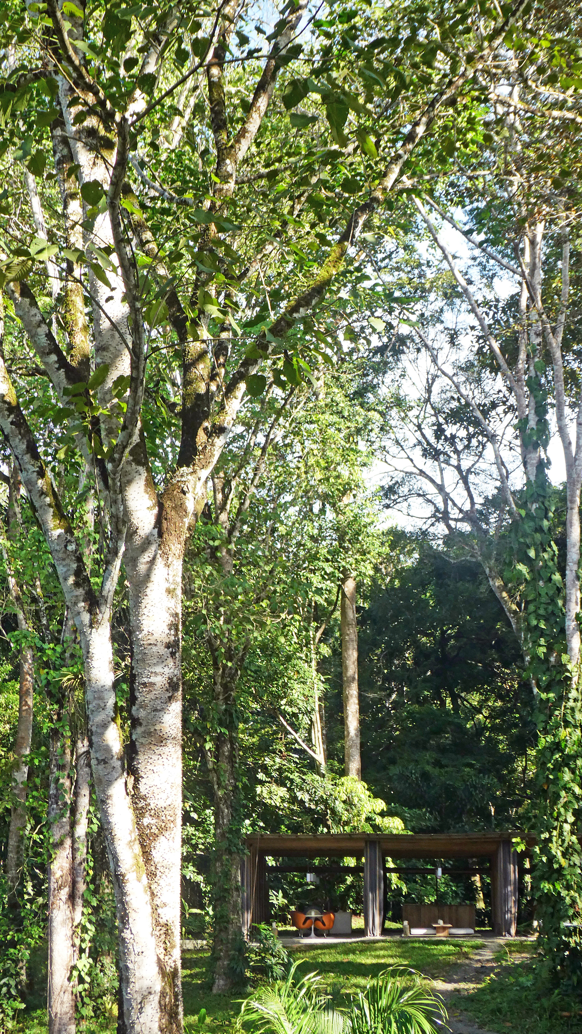 开阔的丛林小屋丨哥斯达黎加-19