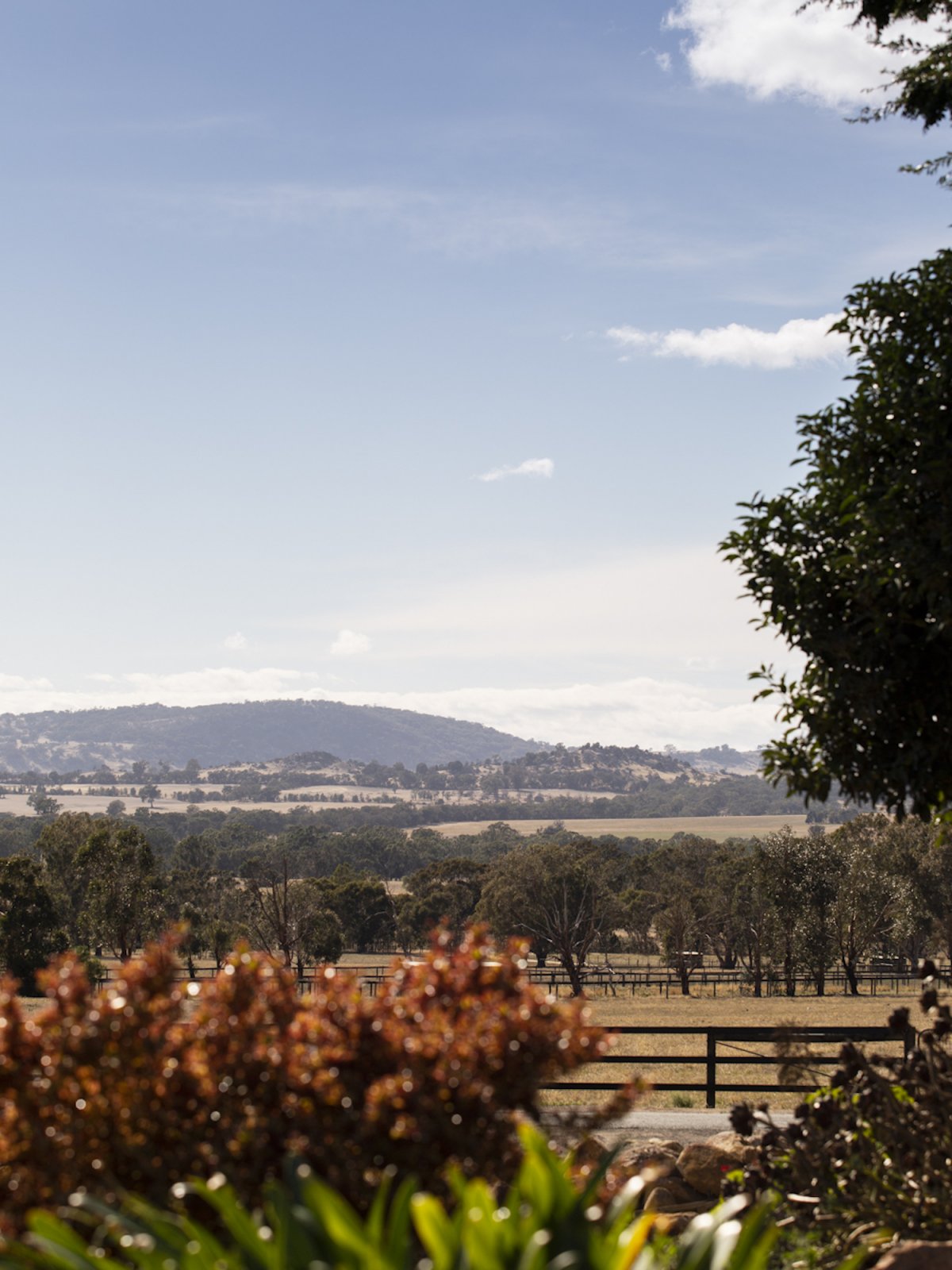 Longwood 住宅丨Cantilever Interiors-13