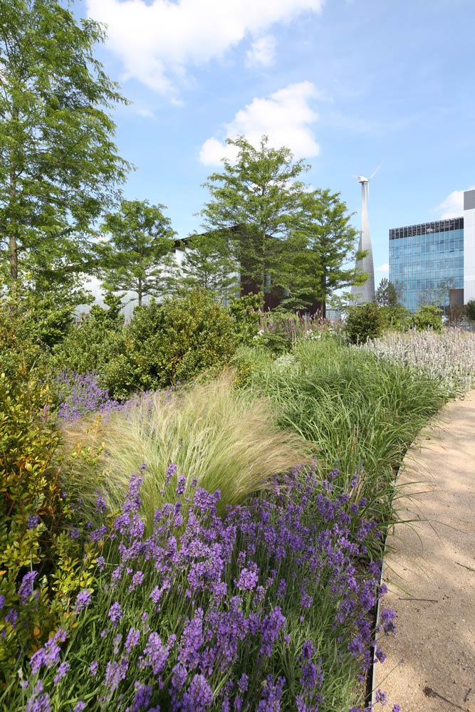 天空英国总部 | 绿色生态的办公环境-29