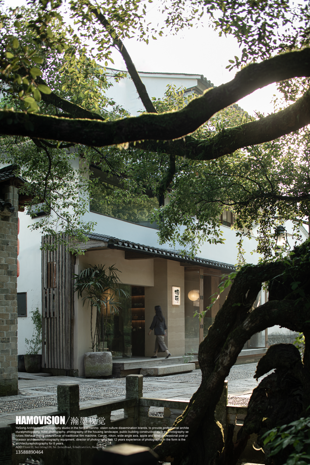 千年樟树下的茶室 · 沈墨设计的古堰画乡茶空间丨中国丽水丨杭州时上建筑空间设计事务所-21