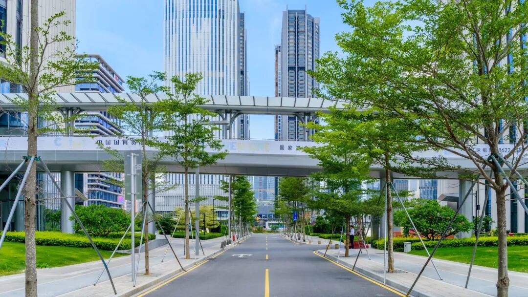 与城市共生，与自然共舞|前海中国国有资本风投大厦-46