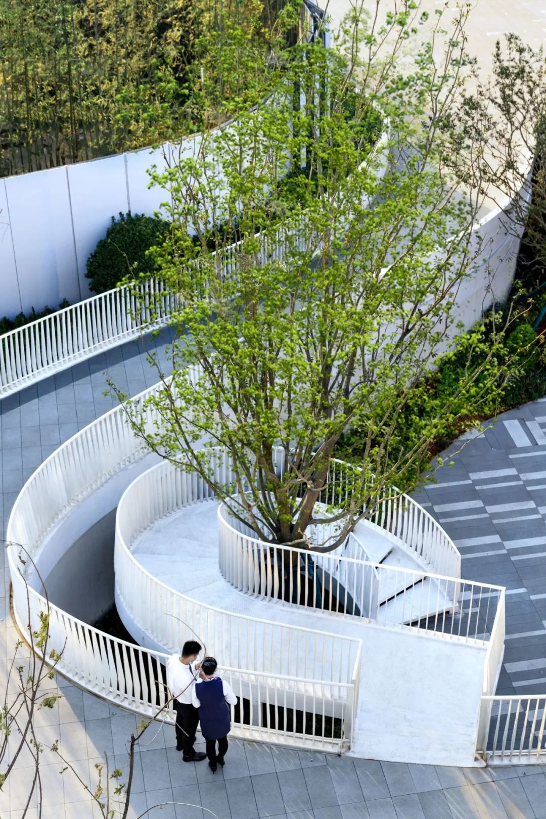 金小瑞的自然探索之旅 | 金辉·优步学府-27