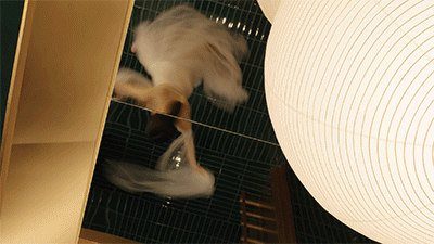 白味·汤馆 私人会所丨中国郑州丨SALONE DEL SALON ｜得德设计-30