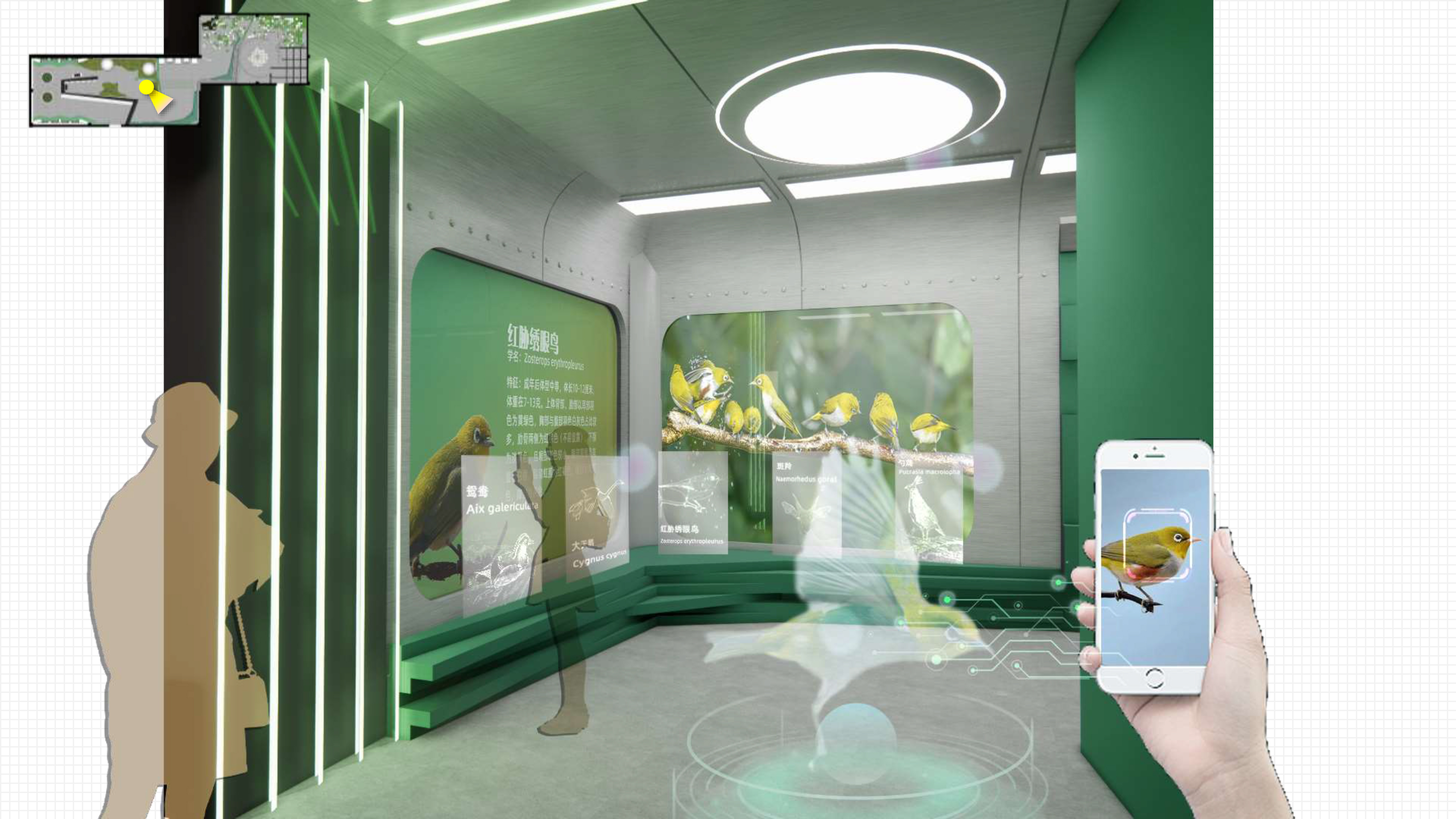 “链”接未来-生物多样性主题展览-22