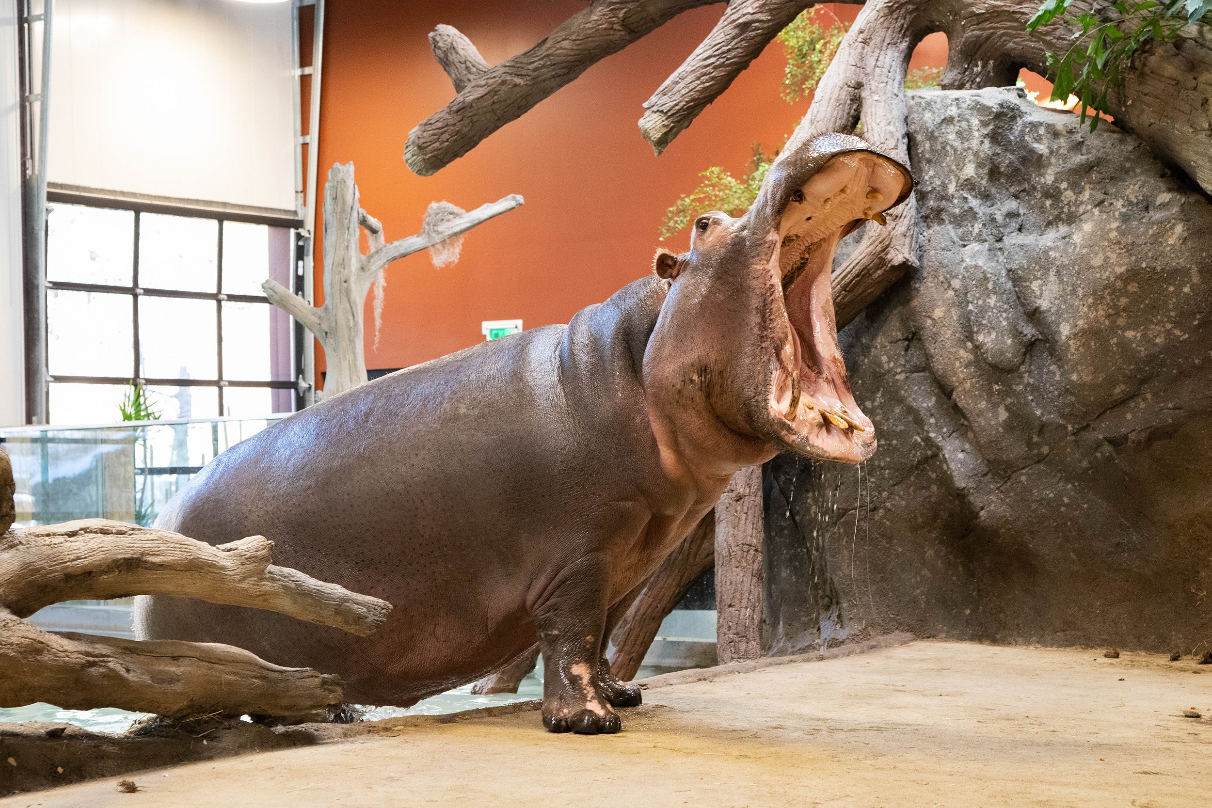 水际之地：非洲丨美国科罗拉多斯普林斯丨SH|R Studios-20