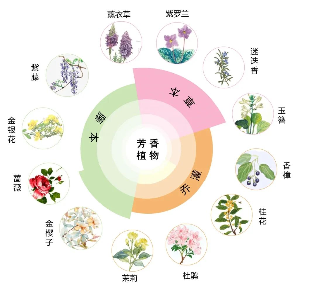 《治愈社区》空间模块设计，用景观营造治愈人心-140