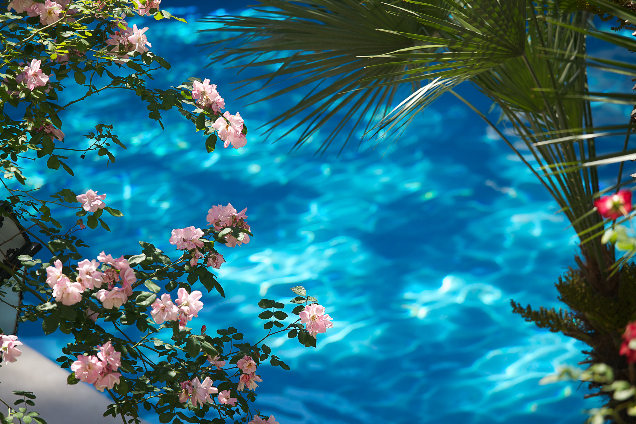 Aldrovandi Villa Borghese（意大利，罗马）-34