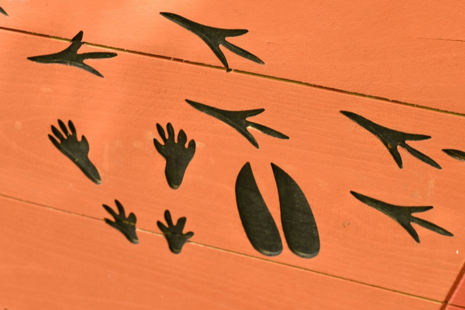 埃尔福特艾格公园知识森林丨德国丨德国雷瓦德景观建筑事务所-30