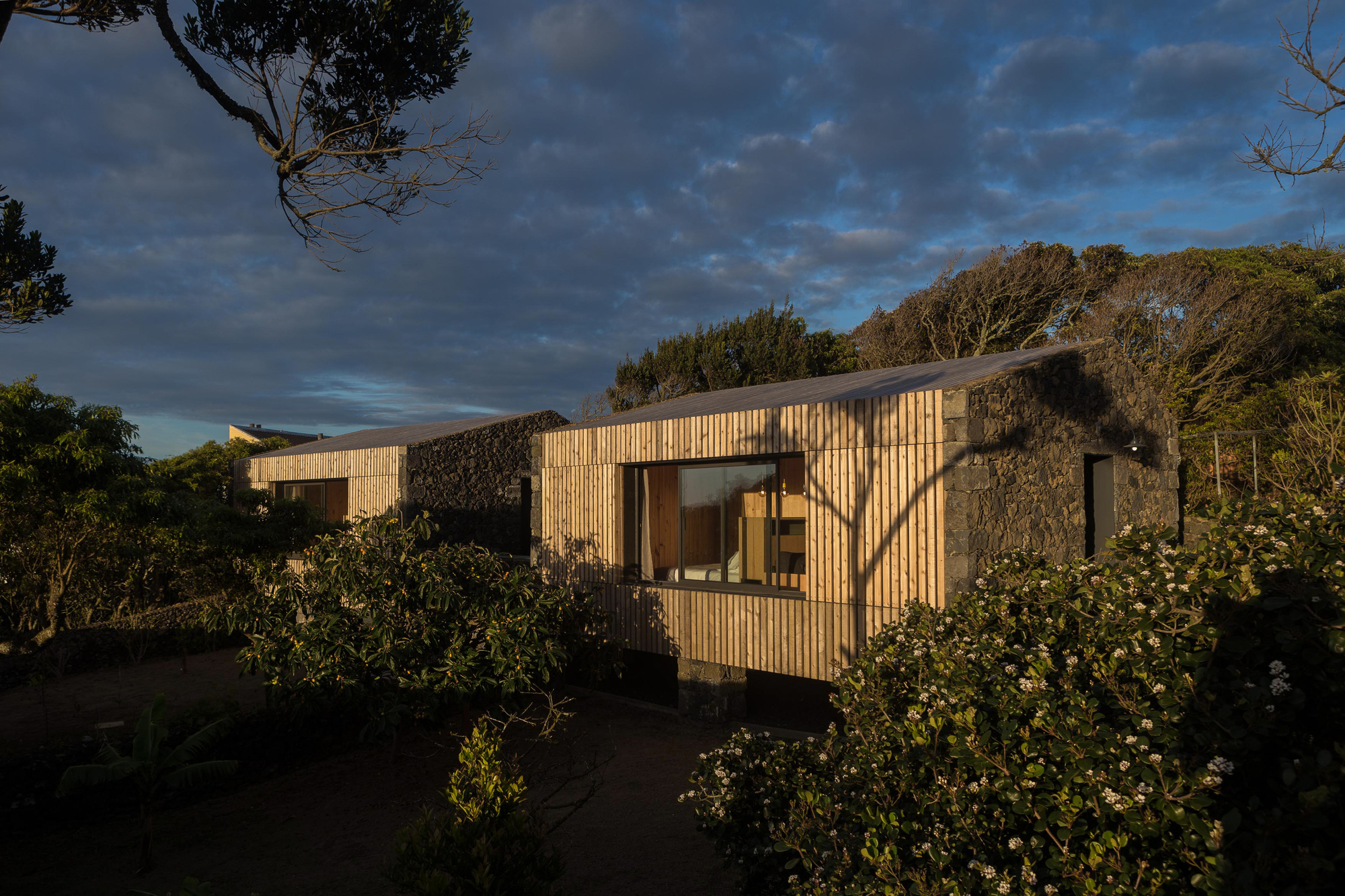 House dos Peixes Falantes / M-Arquitectos -21