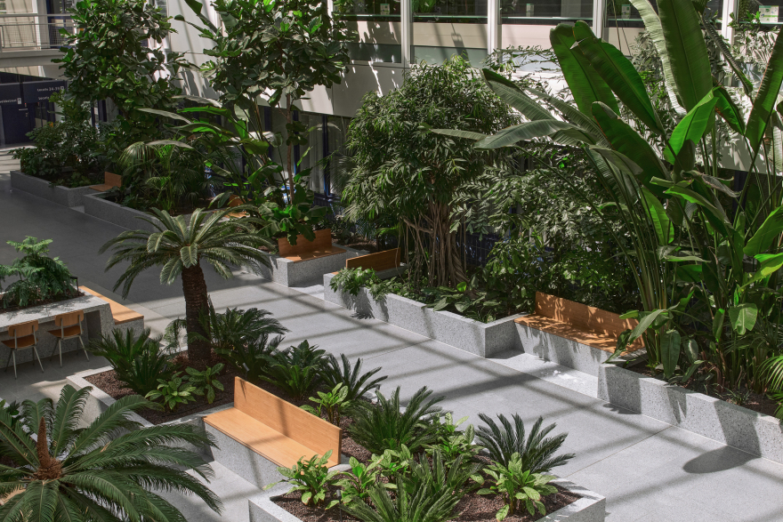 戴克兰德医院复兴丨荷兰-30