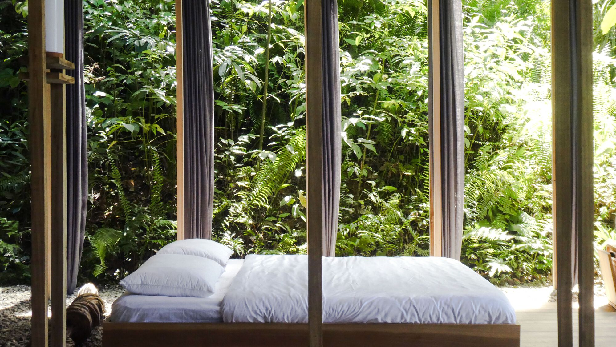 丛林开放日丨哥斯达黎加丨Ksymena Borczynska-34