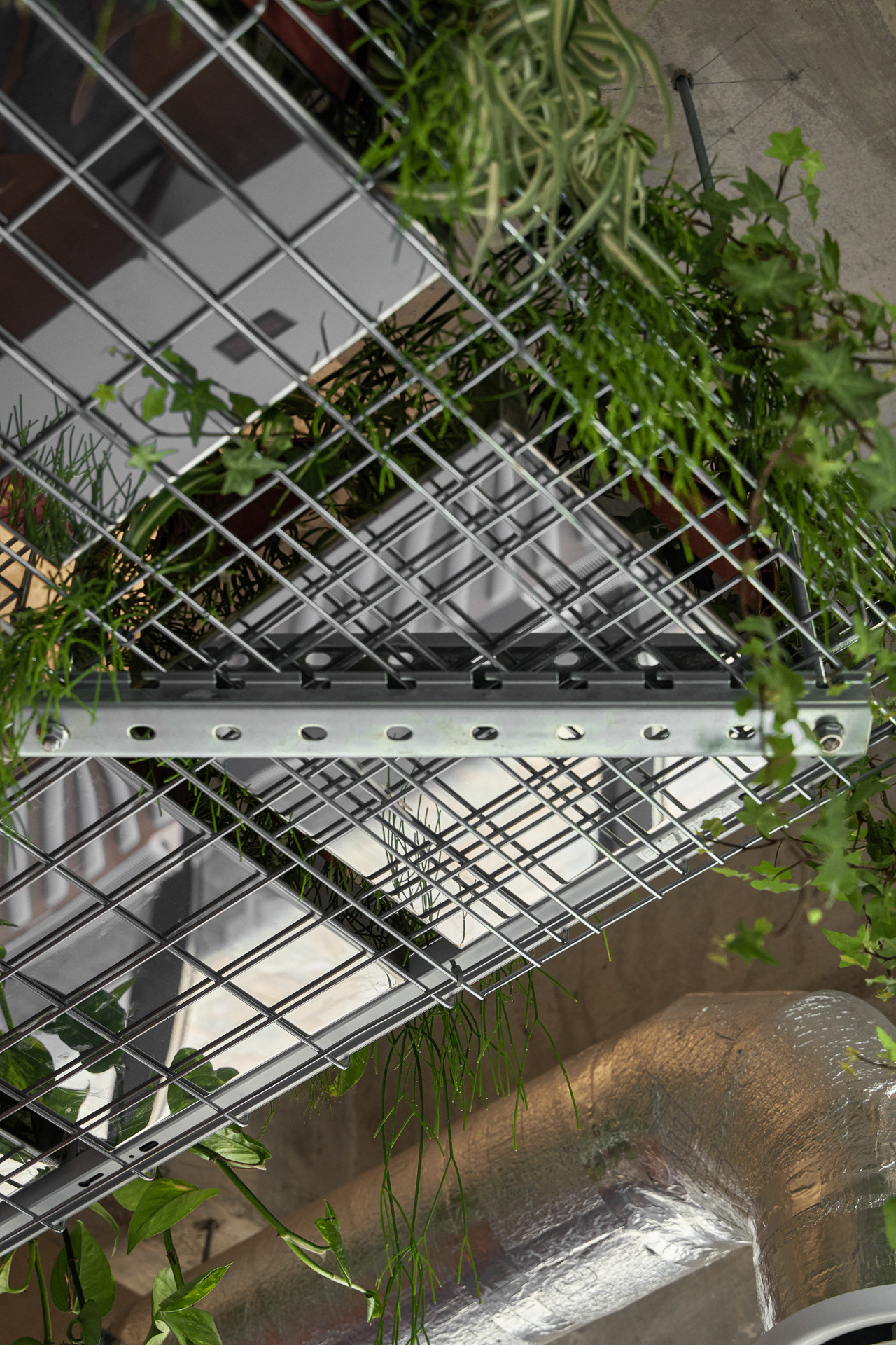 烤肉爸爸·街头小吃咖啡馆丨澳大利亚-13