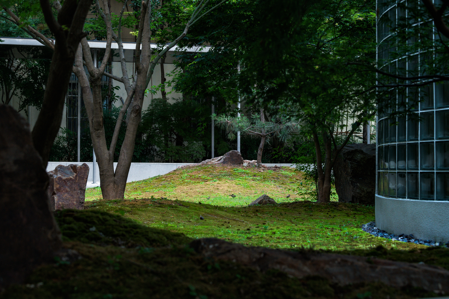 共享社区优雅 · 上海东苑二村邻里服务站与活动室设计-22