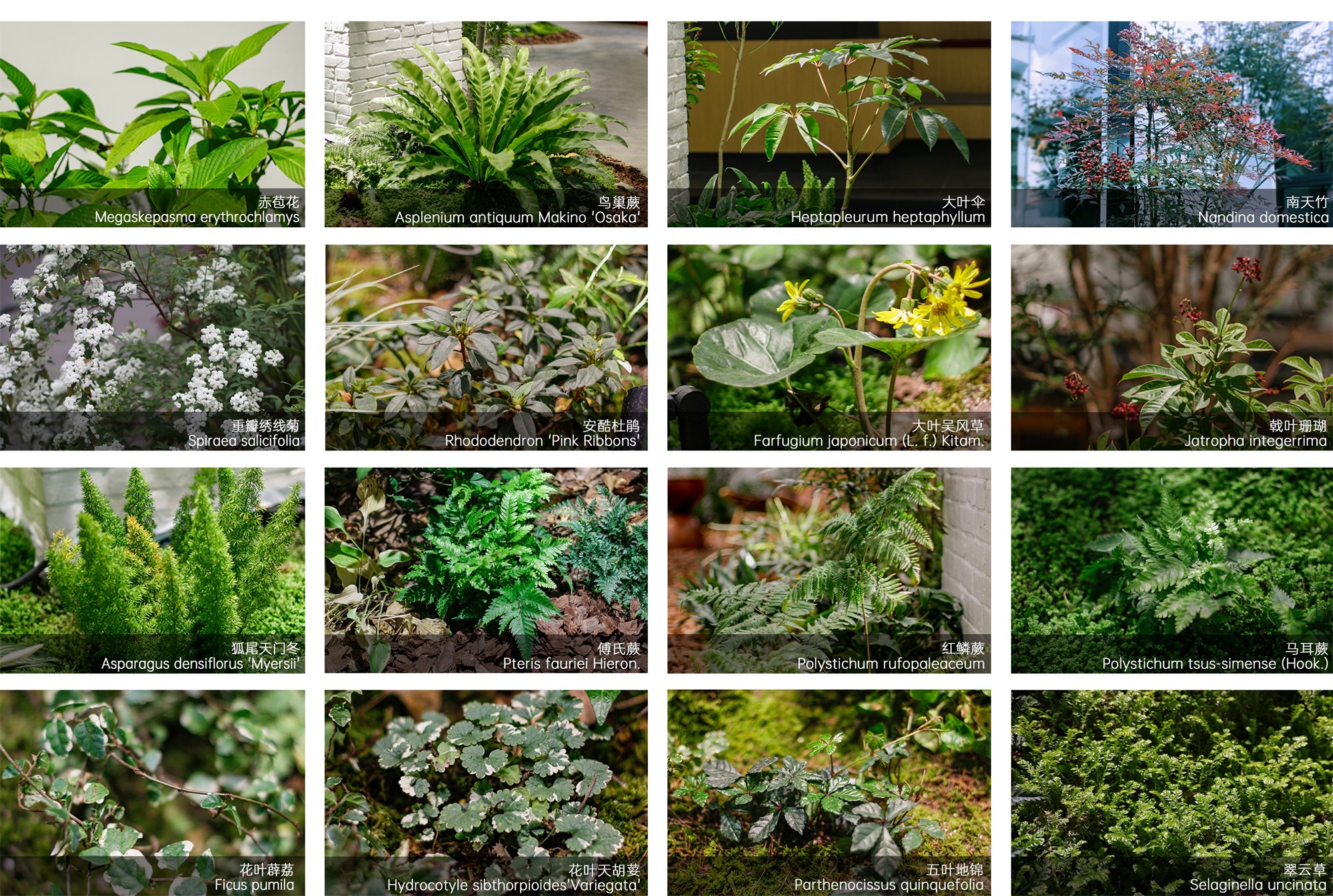 WE HOUSE 物候自然展厅丨我们在办公室造了一个植物园 / 物候设计-82